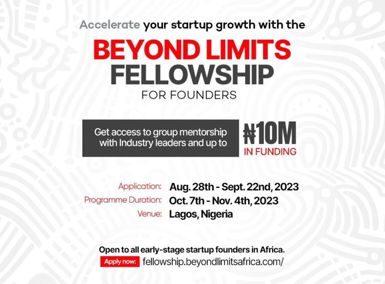 Beyond Limits Fellowship for Founders careerleapafrica.com